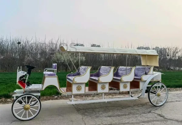 Traditional electric buggy for royalty Sightseeing Victoria horse-drawn Carriage classical electric horse cart for tourism - Image 4