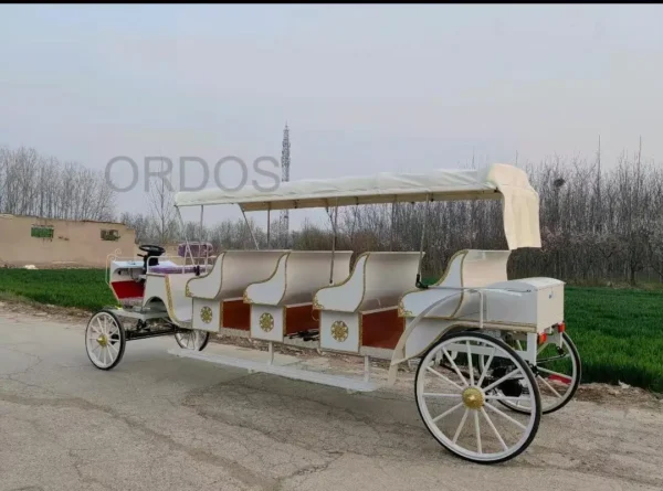 Traditional electric buggy for royalty Sightseeing Victoria horse-drawn Carriage classical electric horse cart for tourism - Image 3