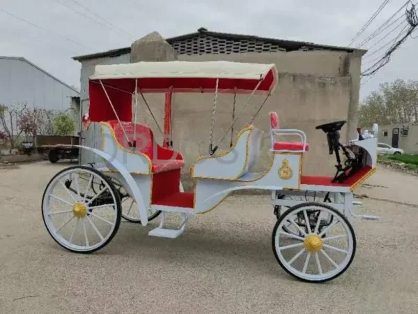 Royal Festival Wedding Horse Horse Drawn Carriage Outdoor Sightseeing Coach Customize Electric Cart - Image 4